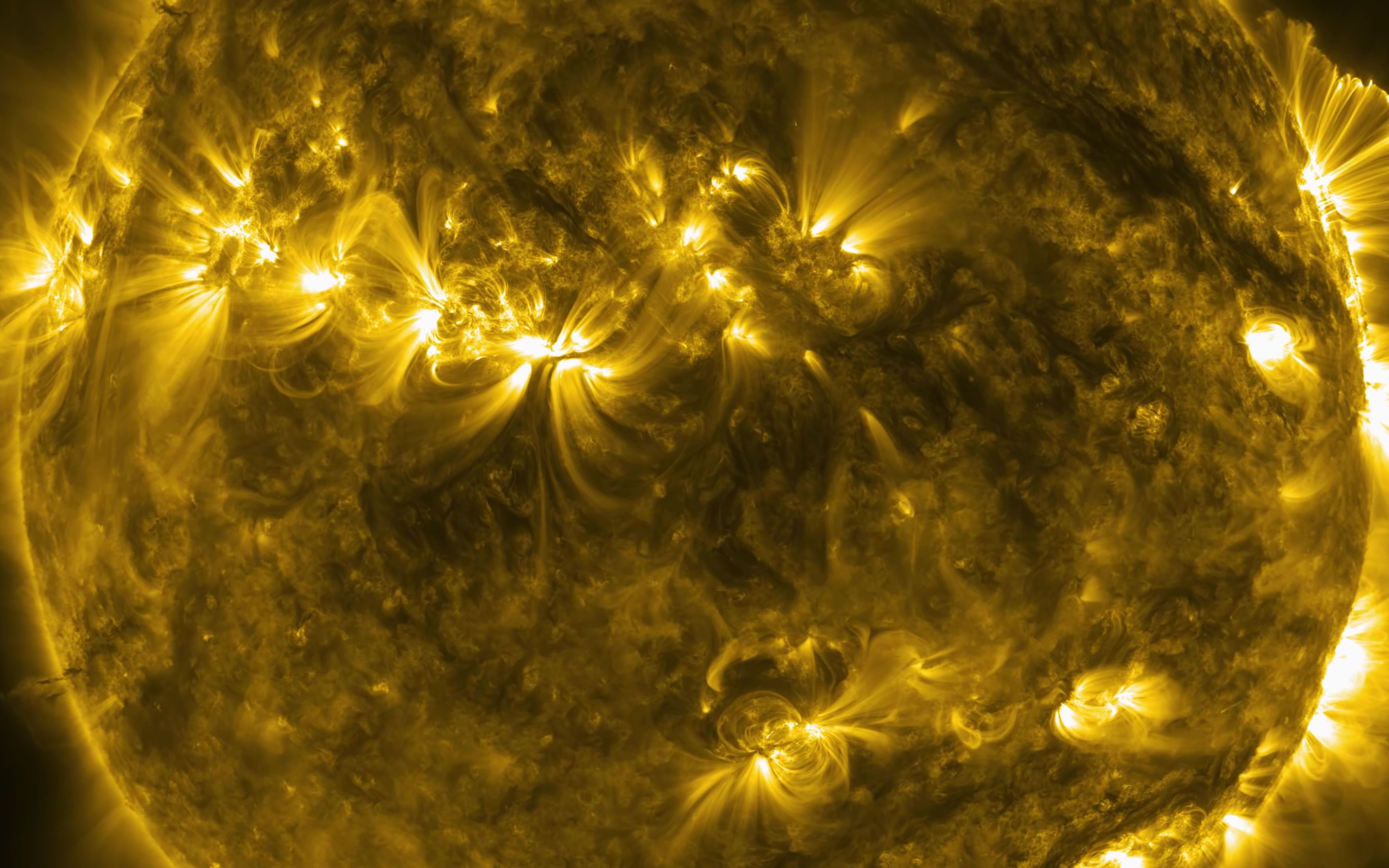 绽放的太阳:让你看见太阳的模样——来自nasa sdo天文望远镜绘制的