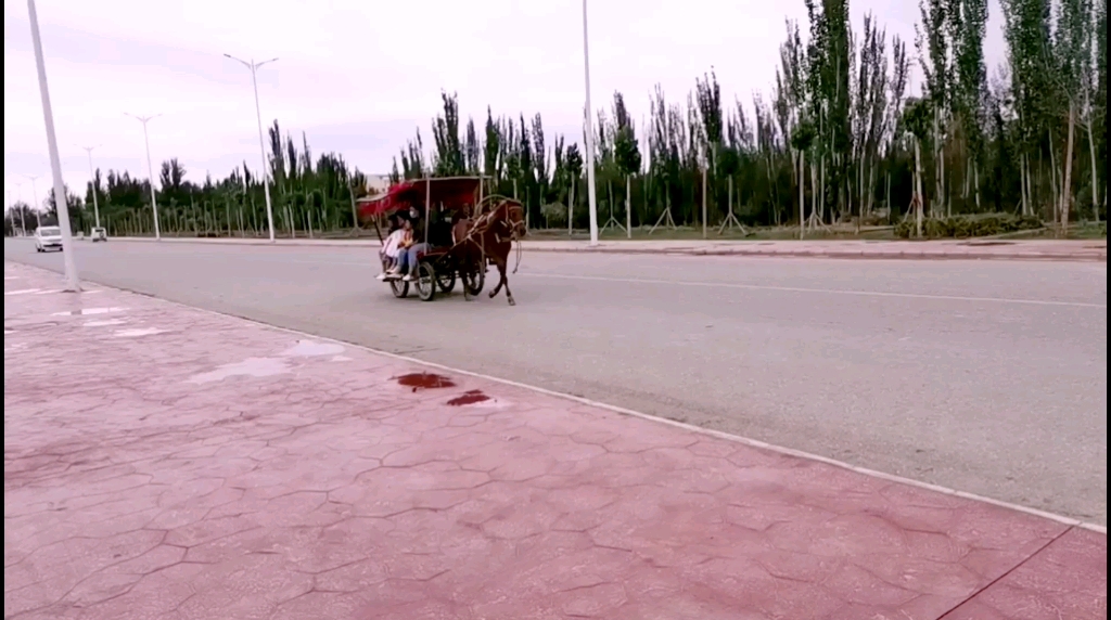 旅游#伽师县 这里依然还是用马车拉客,拉货,坐着马车游伽师哔哩哔哩bilibili