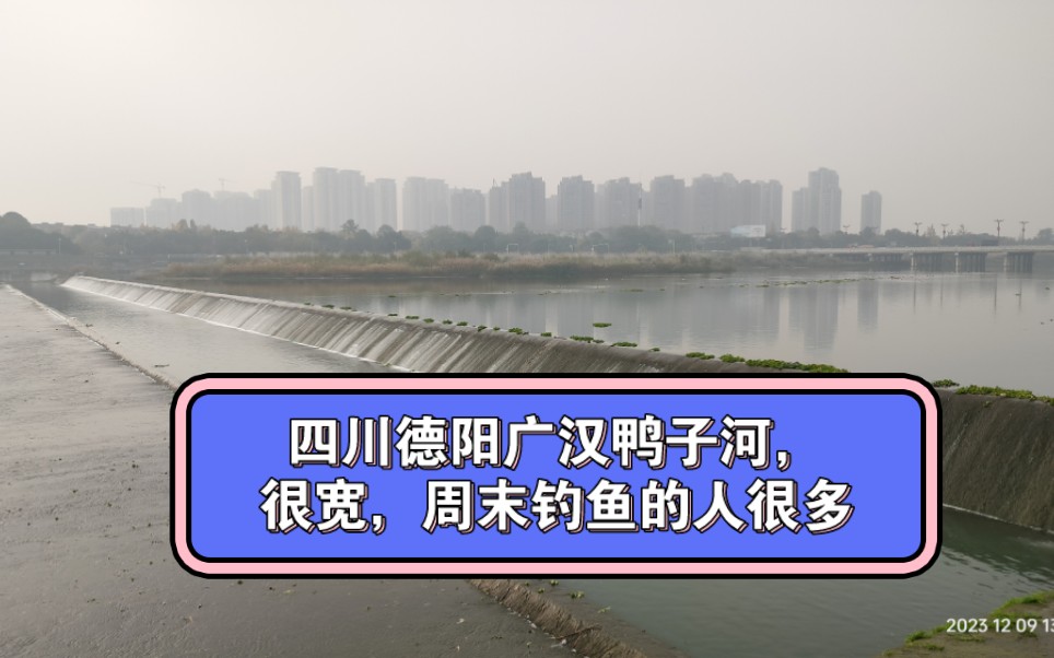 四川德阳广汉鸭子河,很宽,周末钓鱼的人很多