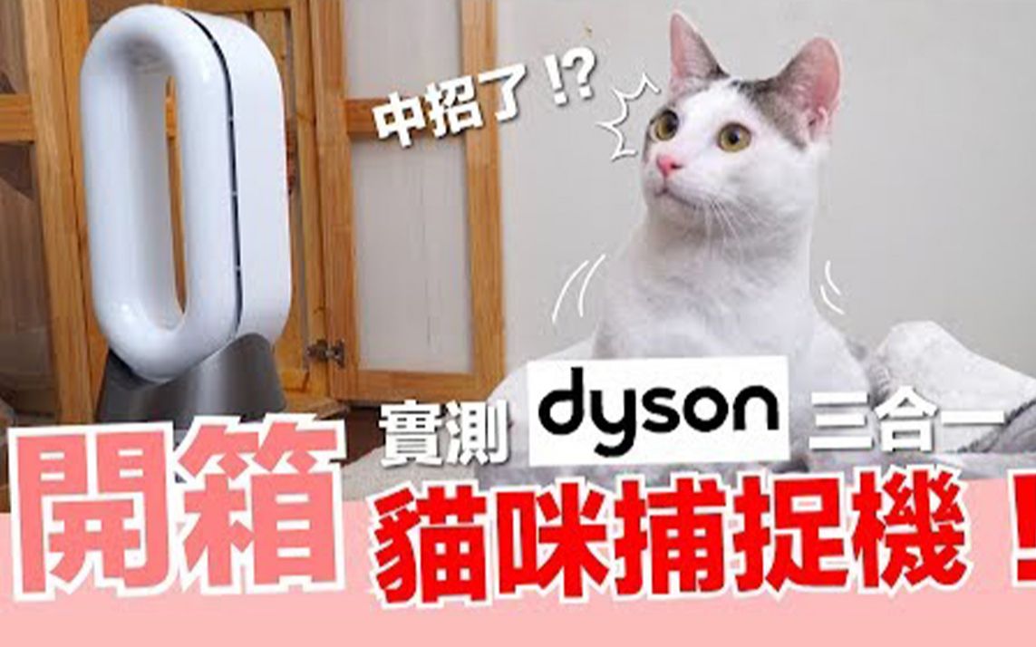 用暖气来抓猫!超高级捕猫器开箱! 【好味猫开箱】EP7哔哩哔哩bilibili