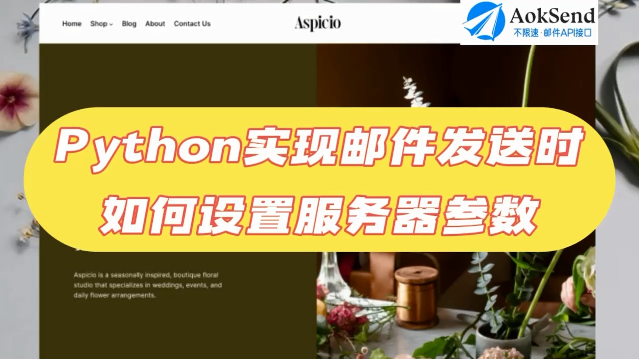 Python实现邮件发送时如何设置服务器参数? Python实现邮件发送的步骤?怎么使用Python发送邮件?哔哩哔哩bilibili