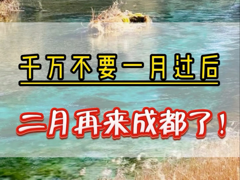 千万不要1月份2月份来四川成都了 因为这个时候的成都进入淡季了.#九寨沟旅游攻略 #四川旅游攻略 #四川旅行 #熊猫乐园哔哩哔哩bilibili