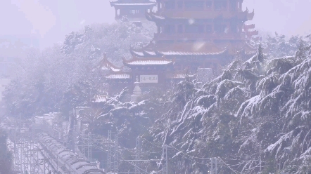 [图]江山一色三千里，雪中漫游武昌城❄