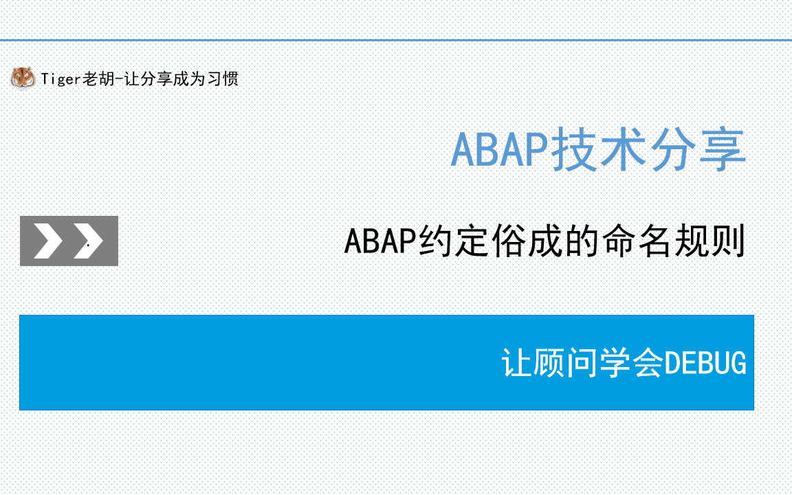 让顾问学习DEBUG第六课 ABAP约定俗成的命名规则哔哩哔哩bilibili