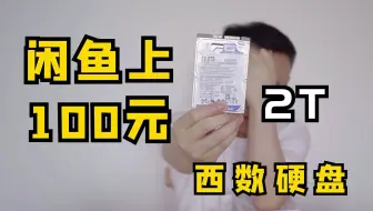 闲鱼只卖100元的2T西数移动硬盘靠谱吗 up主以身试毒 为你一探究竟