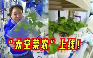 Download Video: 在小小的桌子上种出大大的菜园！“神十六”航天员培育的植物长势喜人！