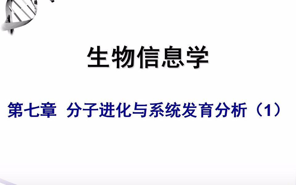 《生物信息学》薛宇华中科技大学第七章 分子进化与系统发育分析第24节课哔哩哔哩bilibili