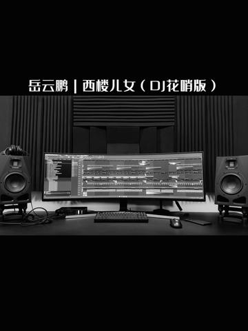 [图]岳云鹏｜西楼儿女（DJ花哨版）未发布。