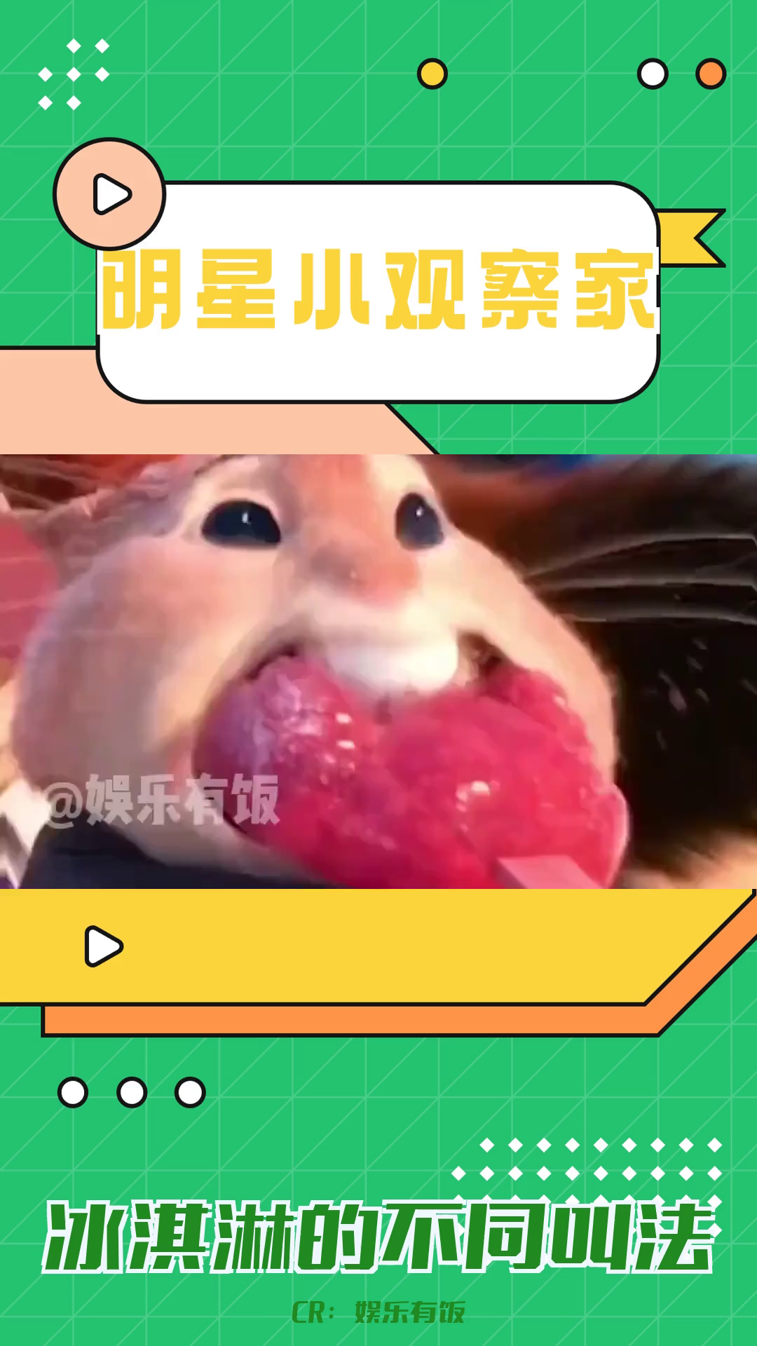 原来雪糕还有这么多的名字!哔哩哔哩bilibili