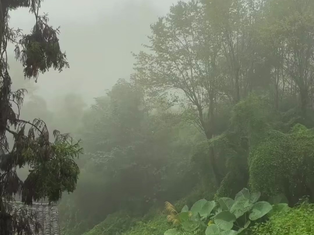 小時候就喜歡這霧濛濛的感覺,長大了依舊莫名喜歡仙氣飄飄的大霧