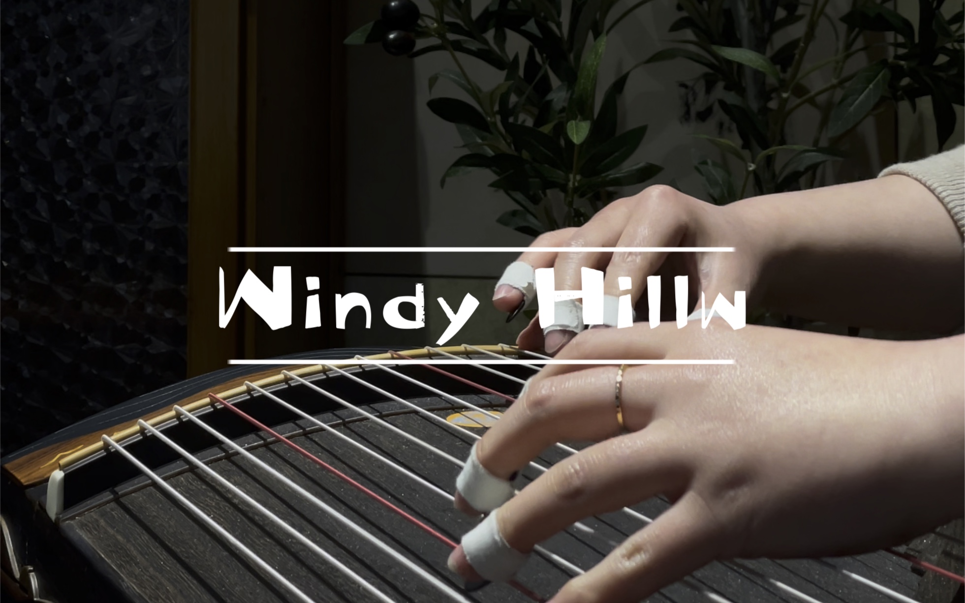 [图]古筝|Windy hill