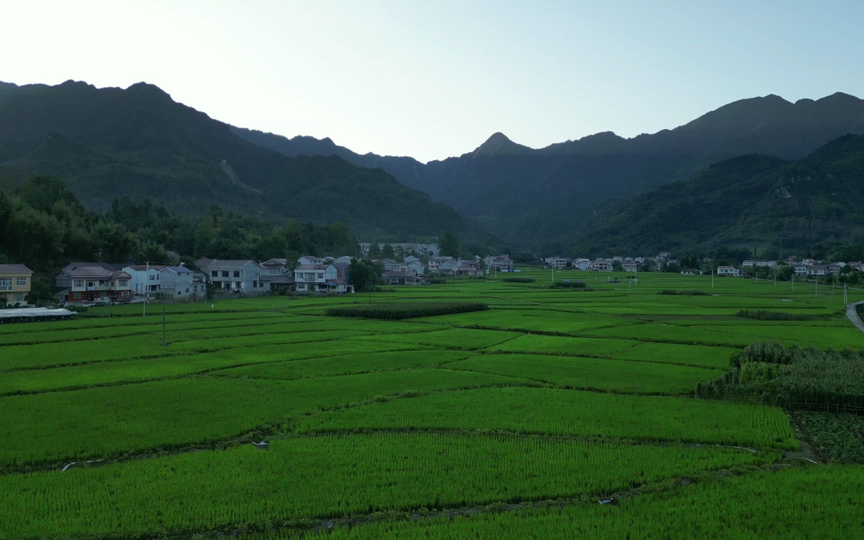 万亩稻田,淳朴乡村气息