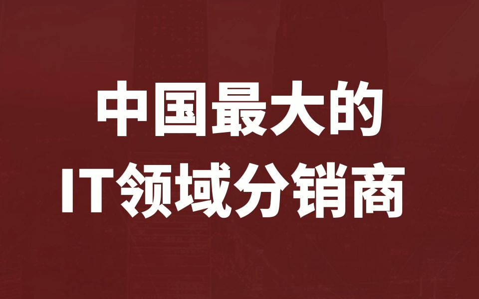 本期围观IT产品分销领域巨头之“神州数码”哔哩哔哩bilibili