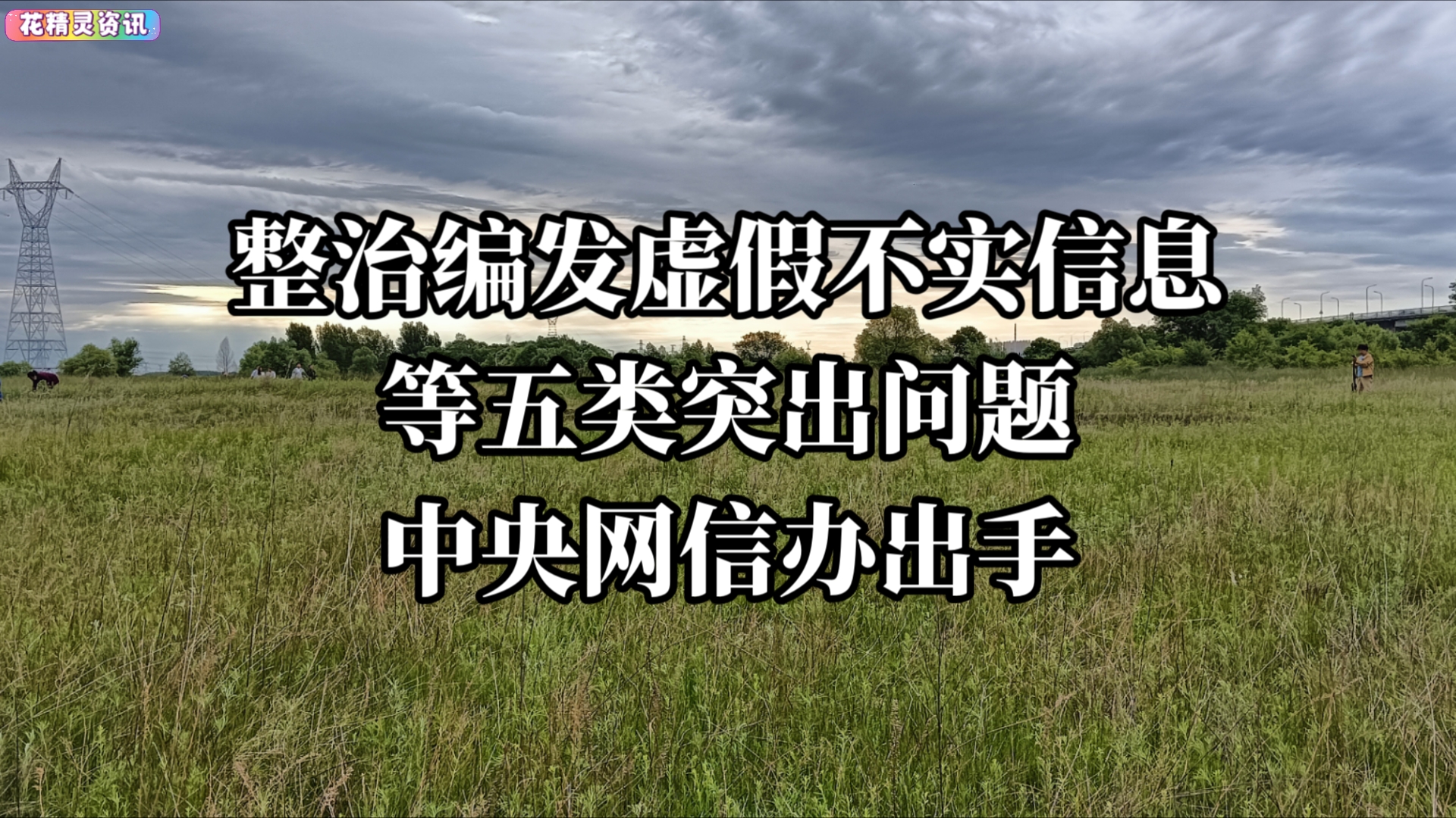 【花精灵资讯】整治编发虚假不实信息等五类突出问题 中央网信办出手哔哩哔哩bilibili