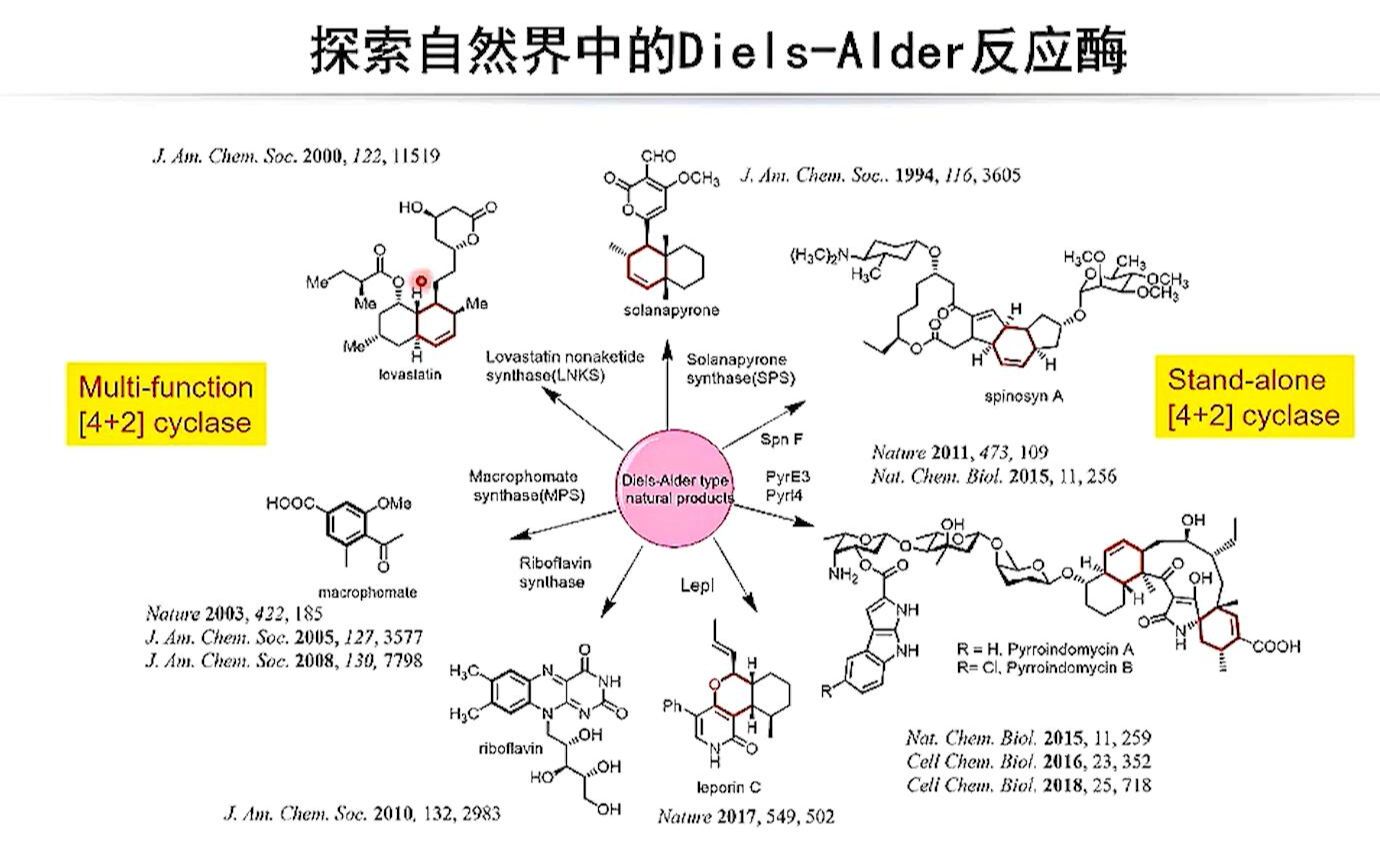 【讲座回放】雷晓光教授 报告题目:天然药物的化学酶法合成哔哩哔哩bilibili