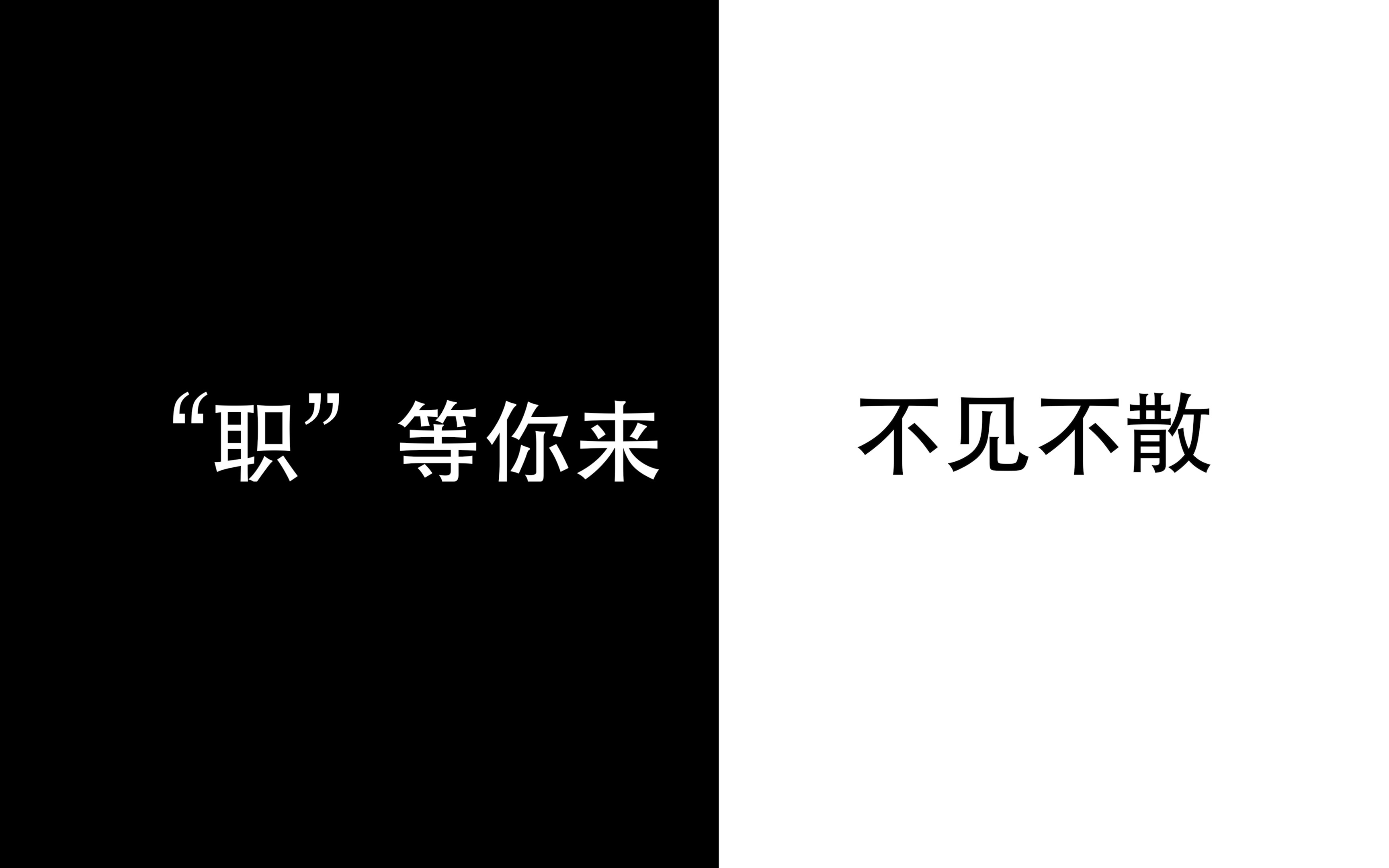 【快闪模板】2023澳中博览会人才招聘会宣传视频哔哩哔哩bilibili