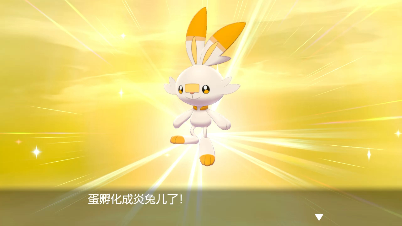 宝可梦 剑盾 闪光炎兔儿 get!无闪符!28箱 29箱第一只