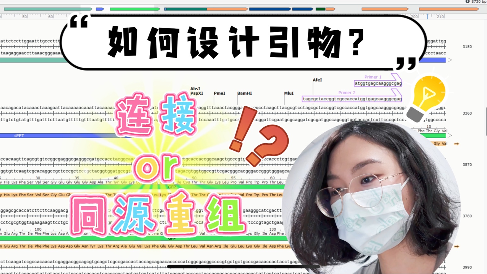 沉浸式"做"实验|学会设计引物!原理+应用+实操哔哩哔哩bilibili