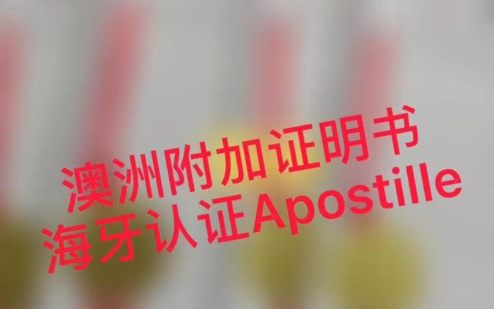 澳洲附加证明书海牙认证Apostille样本来一份哔哩哔哩bilibili