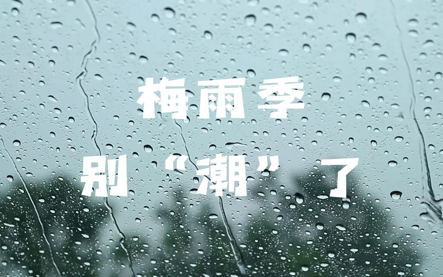 梅雨季,别“潮”了!告别潮湿天气,让家里清爽一夏哔哩哔哩bilibili