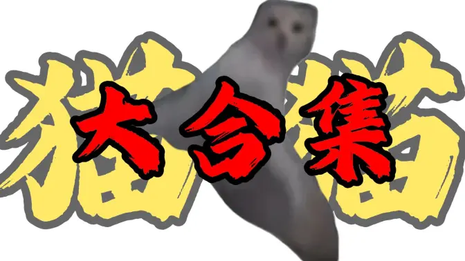 小猫知识大合集