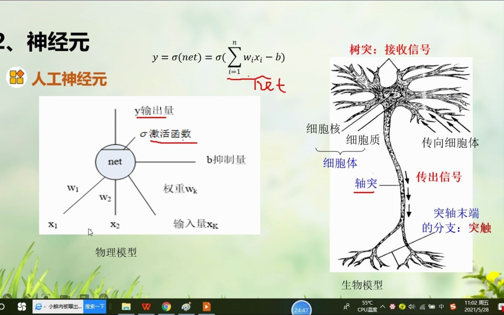 2神经网络02神经元哔哩哔哩bilibili