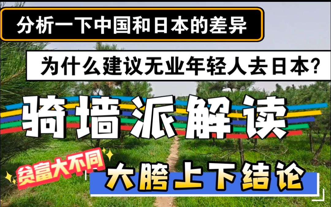 分析中国日本差异,建议无业青年去日本?骑墙解读,大垮上下结论哔哩哔哩bilibili