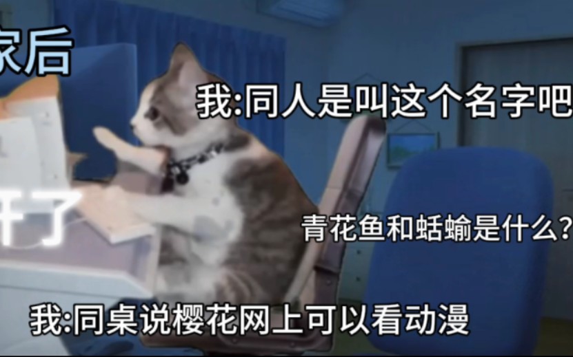 【猫meme】纯洁女纸的入坑经历②[太中][同人篇]哔哩哔哩bilibili