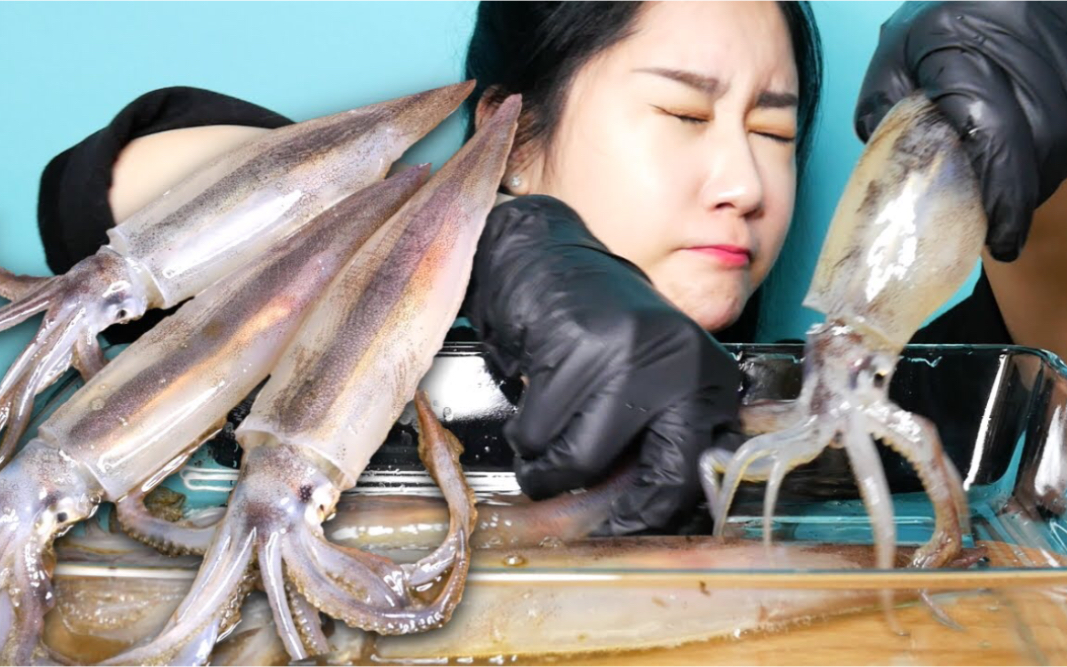 【onhwa】活鱿鱼