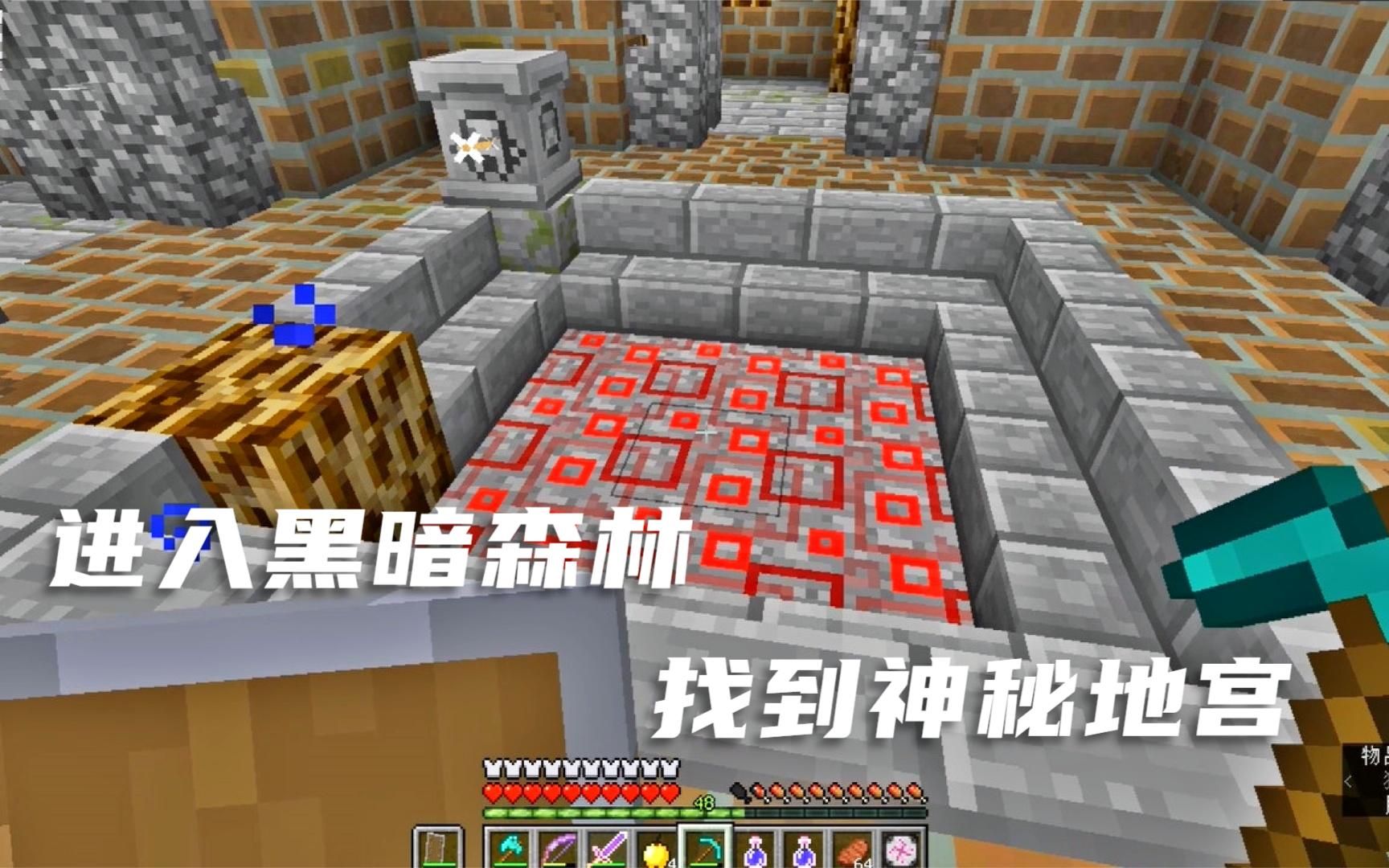 我的世界暮色森林19:来到黑暗森林 进入神秘迷宫_哔哩哔哩_bilibili
