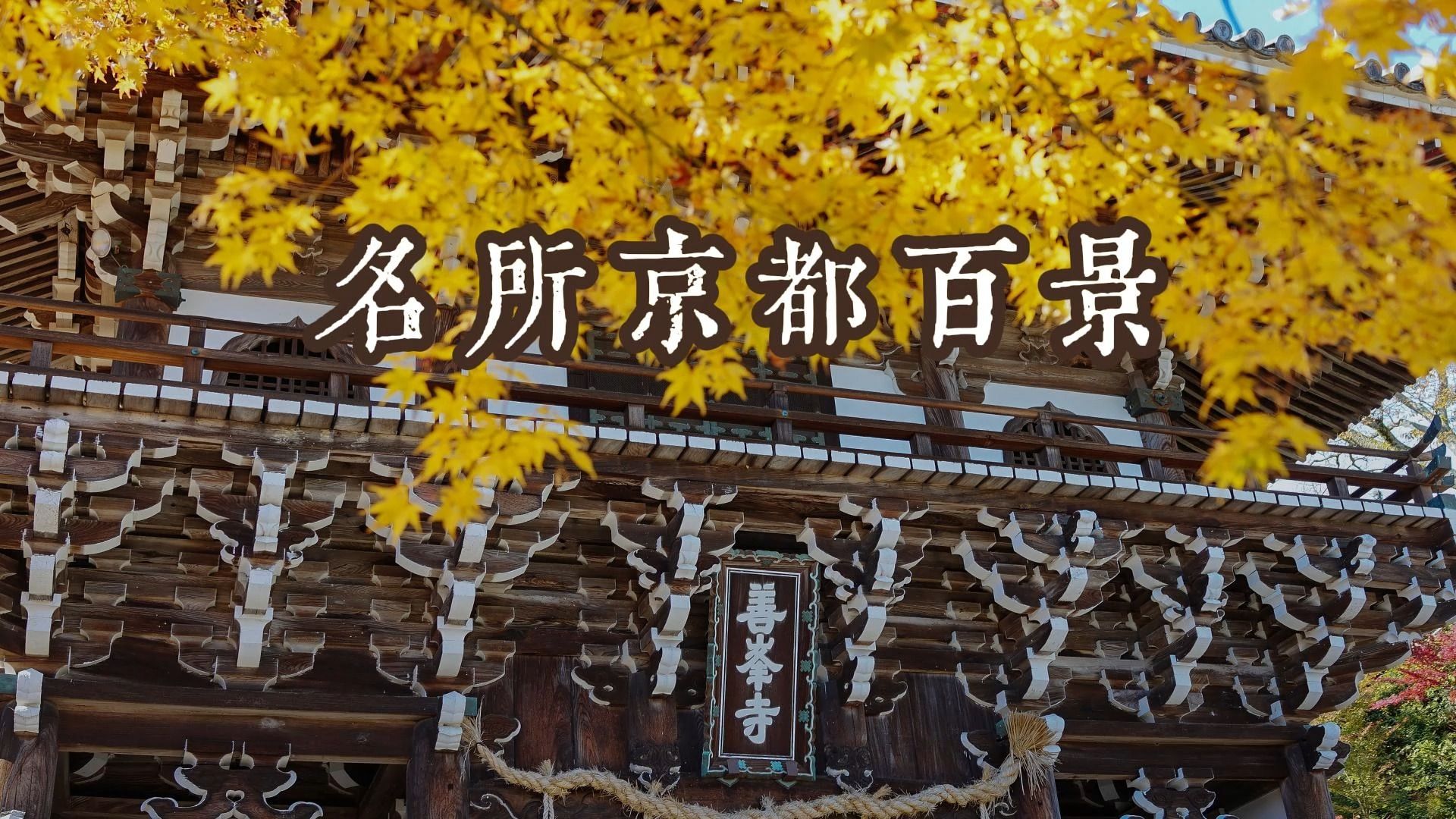 京都最具观赏性的寺院 | 千年古刹 | 西山善峰寺哔哩哔哩bilibili