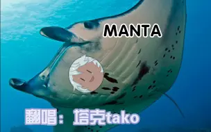 Download Video: 【歌切】塔克Tako|我愿称之为封神版《MANTA》