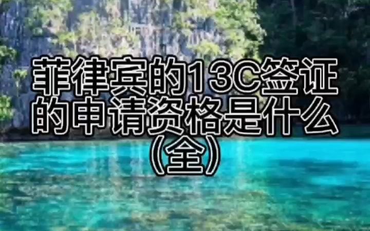 菲律宾的13C签证的申请资格是什么(全)哔哩哔哩bilibili