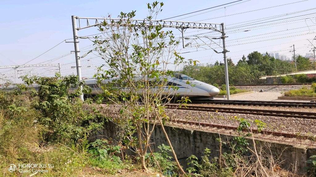 crh380a-2687担当g436次出永州站