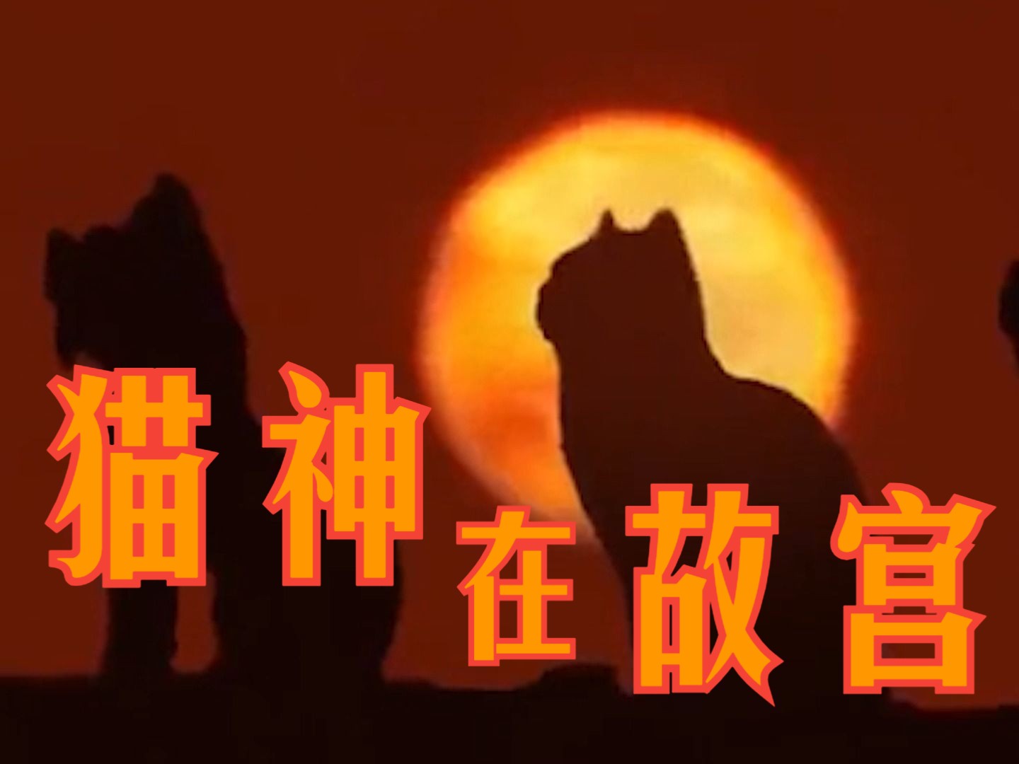 [图]歌舞剧《猫神在故宫》让文物在孩子们的生活中“活”起来