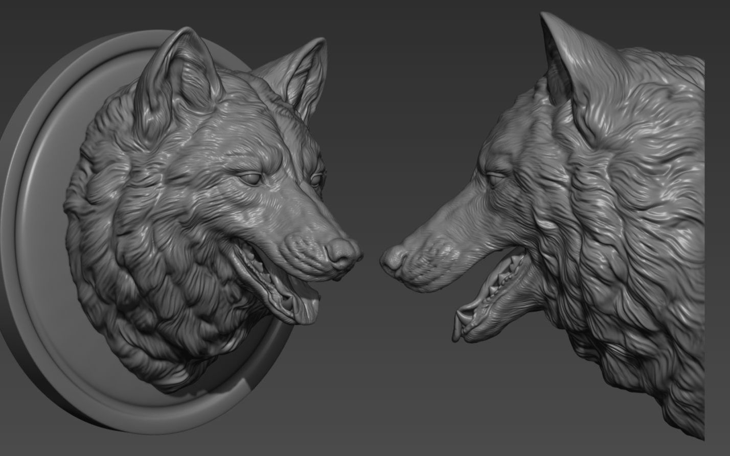 zbrush狼头动物雕刻参考资料