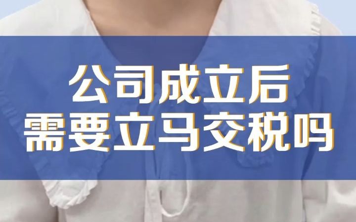 在合肥注册公司拿到营业执照后,需要立马交税吗?哔哩哔哩bilibili