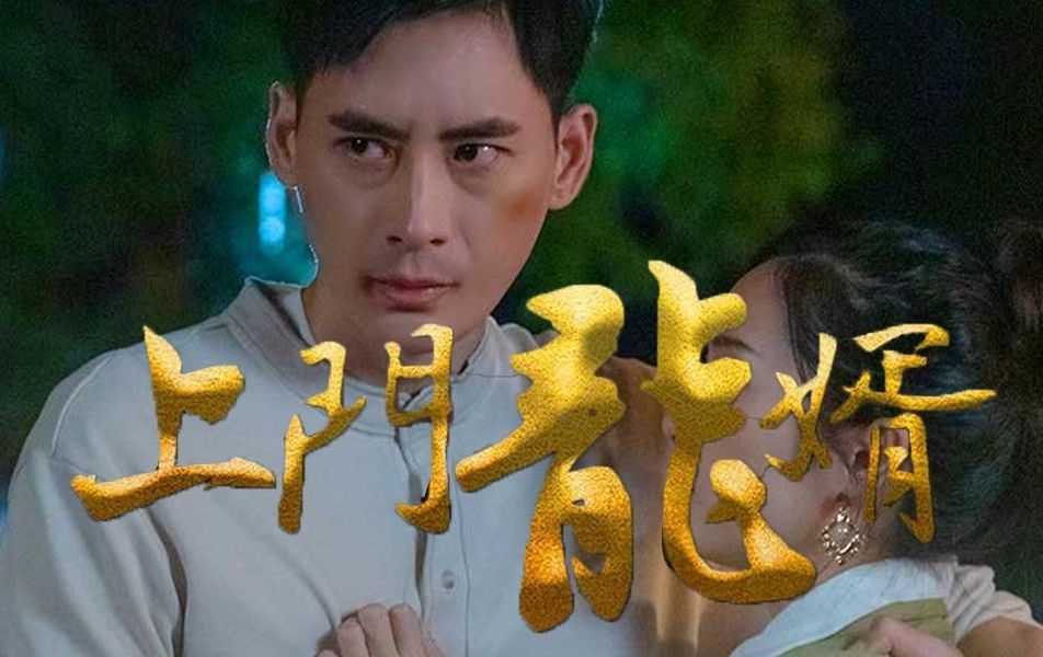 上门龙婿【完整版】