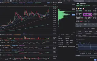 Zdge股票 搜索结果 哔哩哔哩 Bilibili