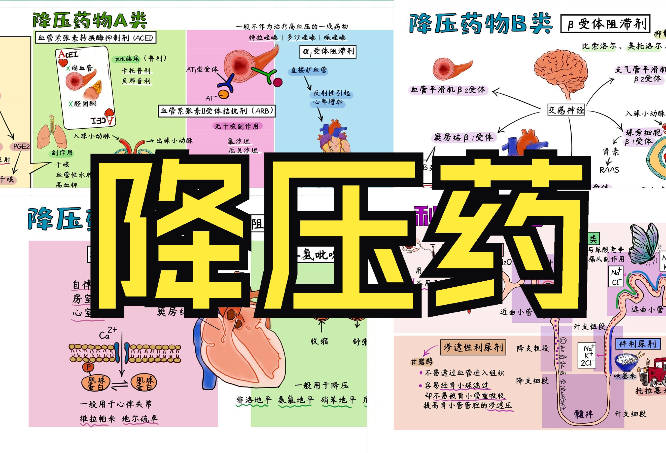 医学手绘精讲 | 所有降压药大总结哔哩哔哩bilibili