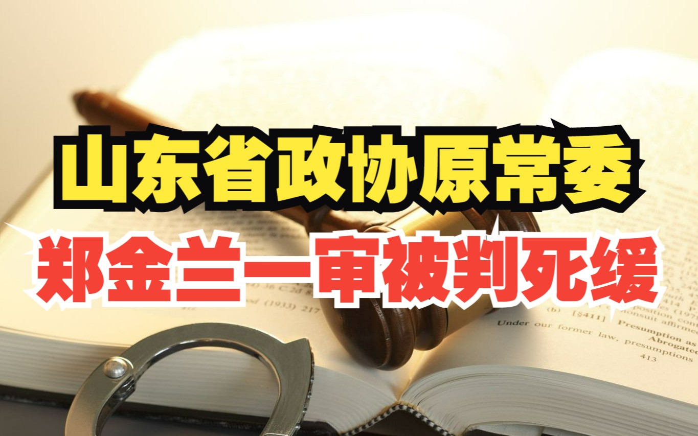 非法收受财物超1亿元!山东省政协原常委郑金兰一审被判死缓哔哩哔哩bilibili