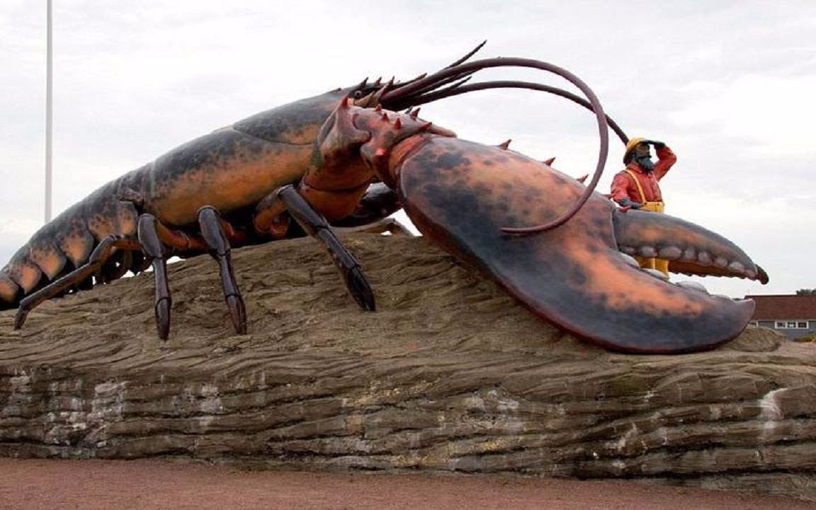 硬币 收藏 hi,这里是巨物界官方,为大家介绍世界最大的东西!