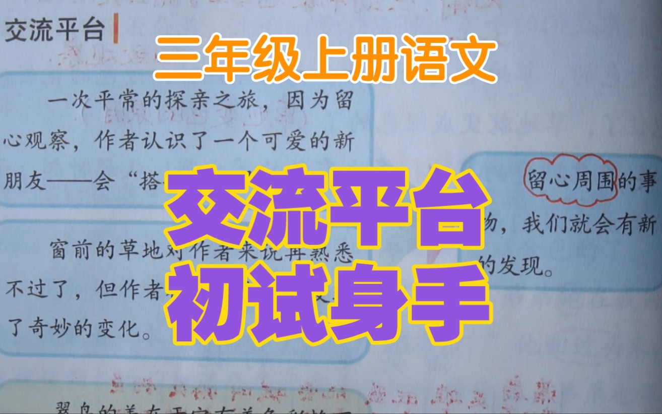 三上语文第五单元交流平台、初试身手,观察方法总结,看完你也会写观察!哔哩哔哩bilibili