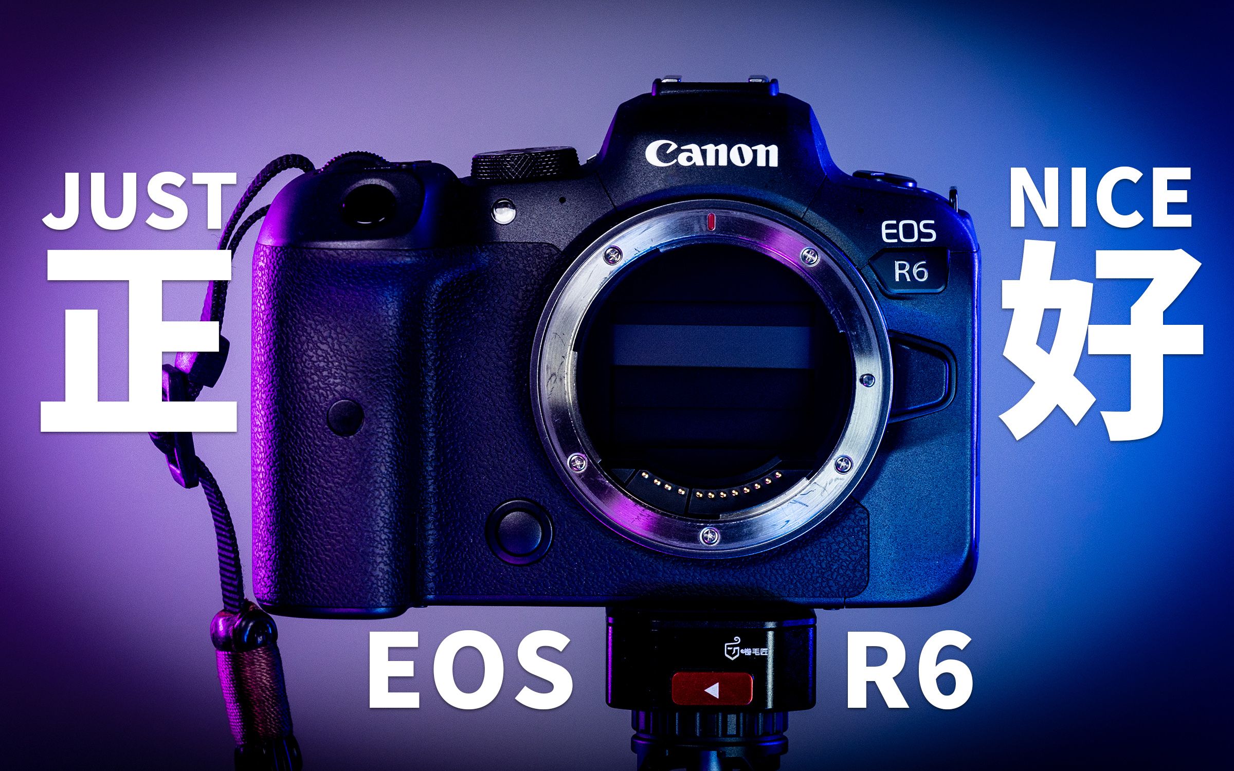 佳能eos r6 | 摆脱浮躁,回归创作,它也许也适合你  .