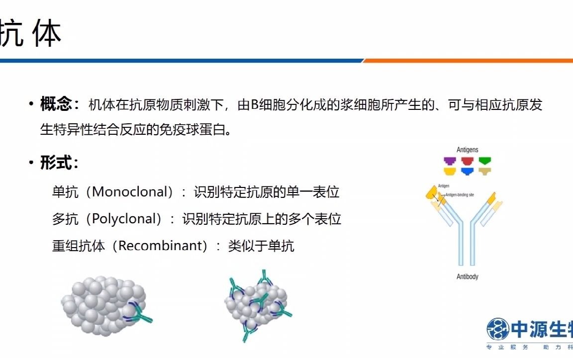 抗体原理介绍及不同抗体应用分类哔哩哔哩bilibili