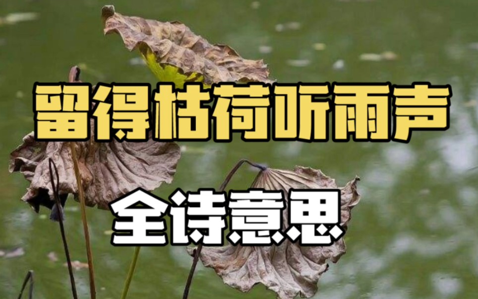 留得枯荷听雨声,真美!全诗是什么意思?哔哩哔哩bilibili