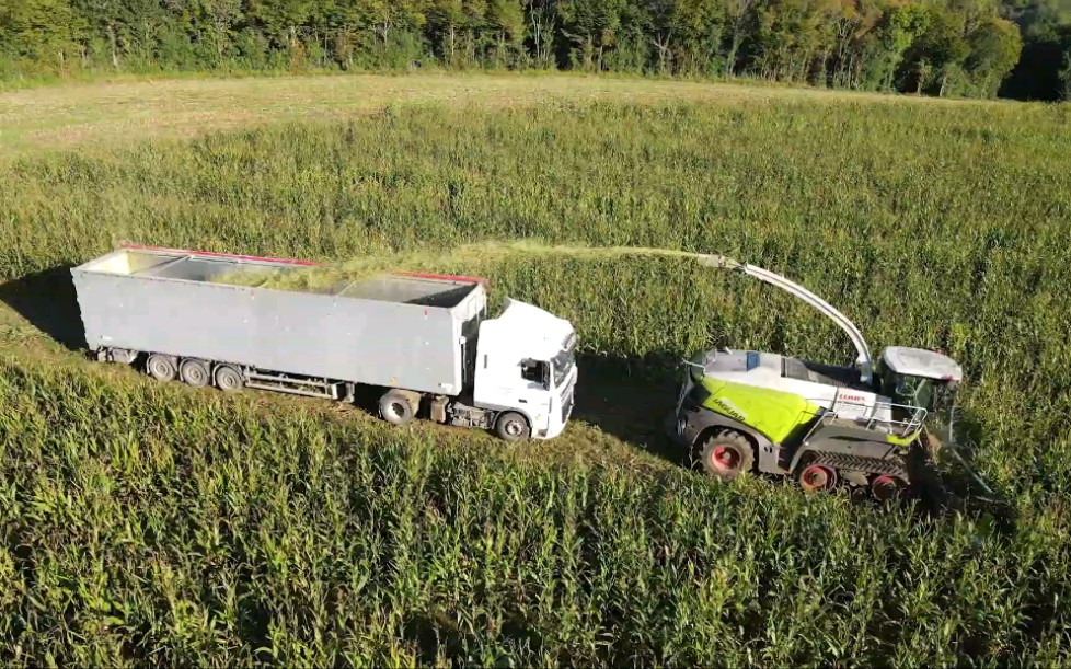 克拉斯(claas)jaguar 960 tt 40000台限定版青贮机收获玉米青贮_哔哩