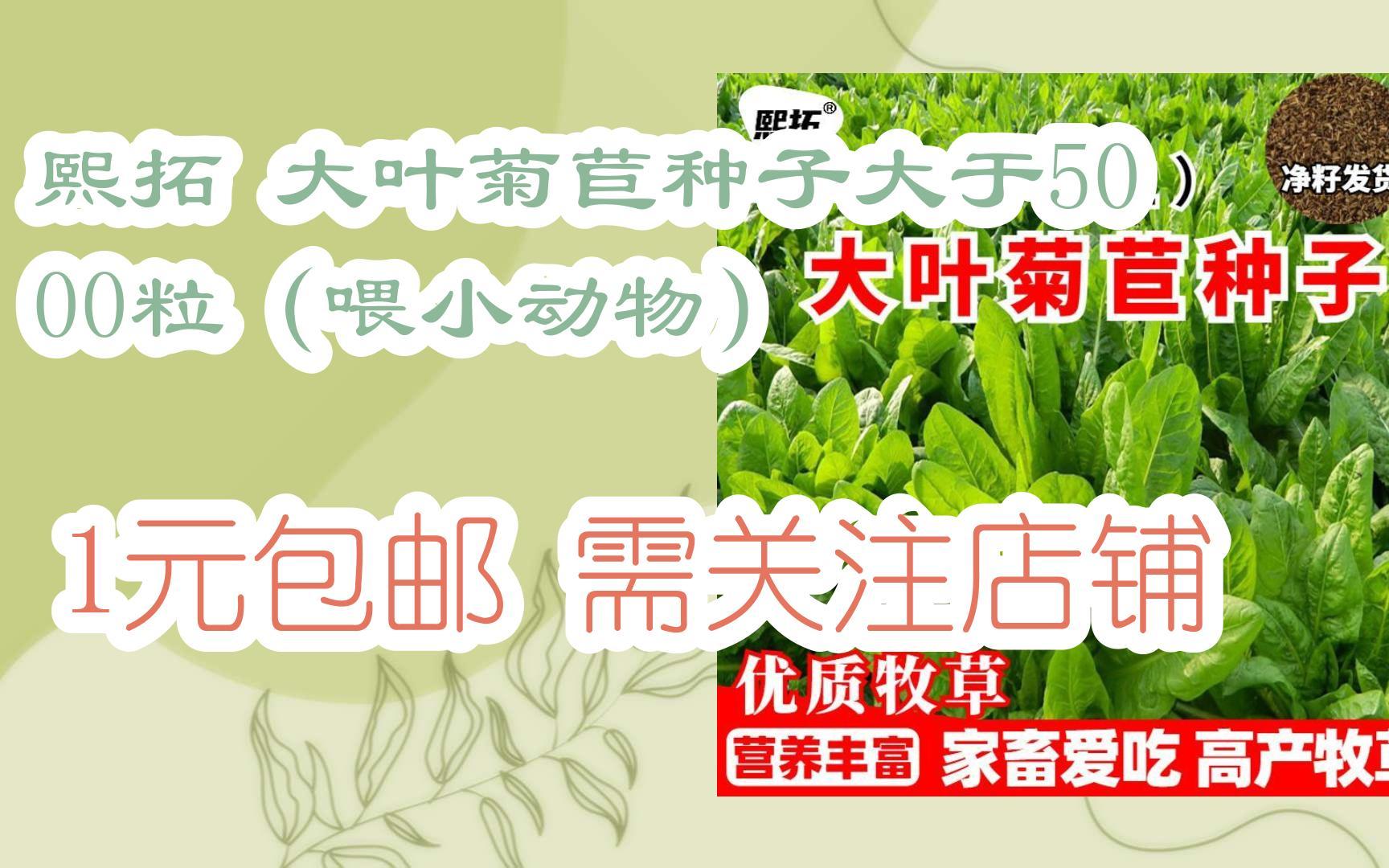 [捡漏价]熙拓 大叶菊苣种子大于5000粒(喂小动物) 1元包邮需关注店铺