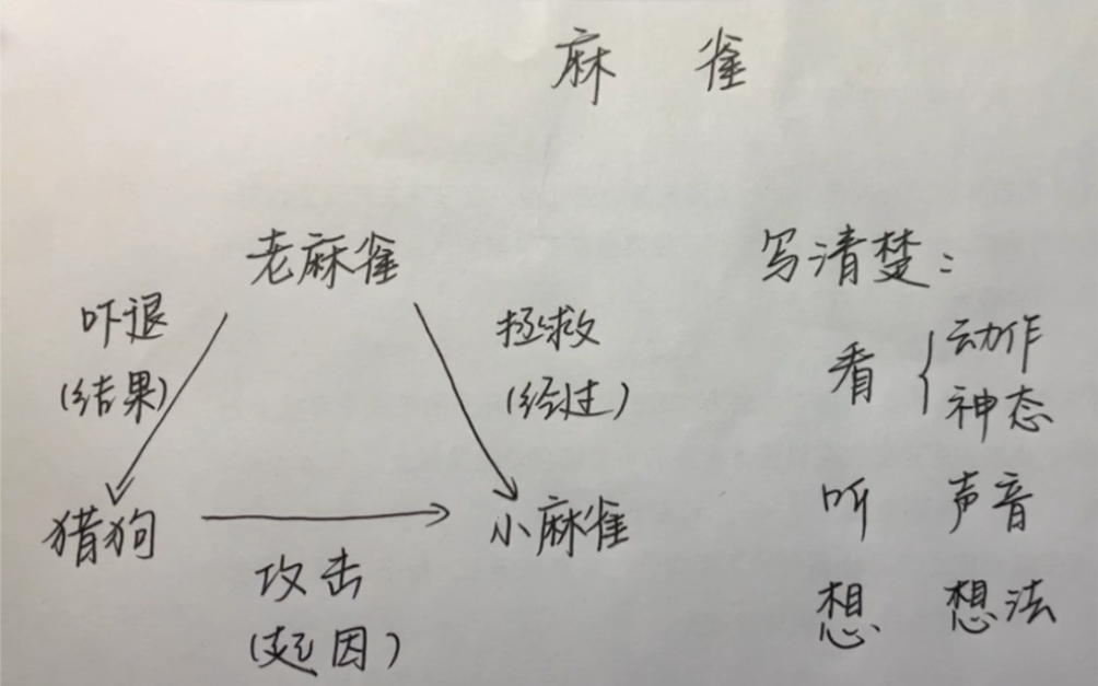 小茄子的说课训练系列|部编版小学语文四年级上册第五单元第16课《麻雀》说课视频哔哩哔哩bilibili