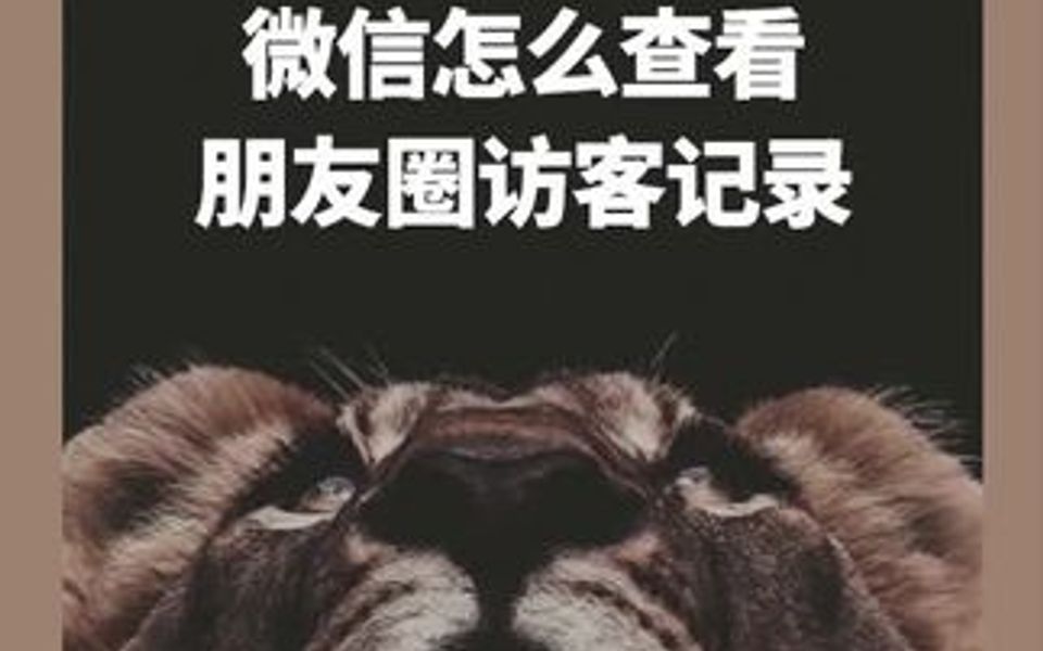 [图]微信查看朋友圈访客记录，试了一下，发现前男友都在关注我！